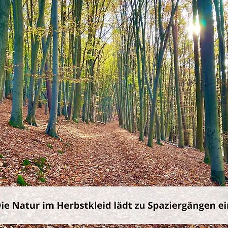 Ferienhaus-heike-dein-urlaub-mit-panoramablick 키르하임