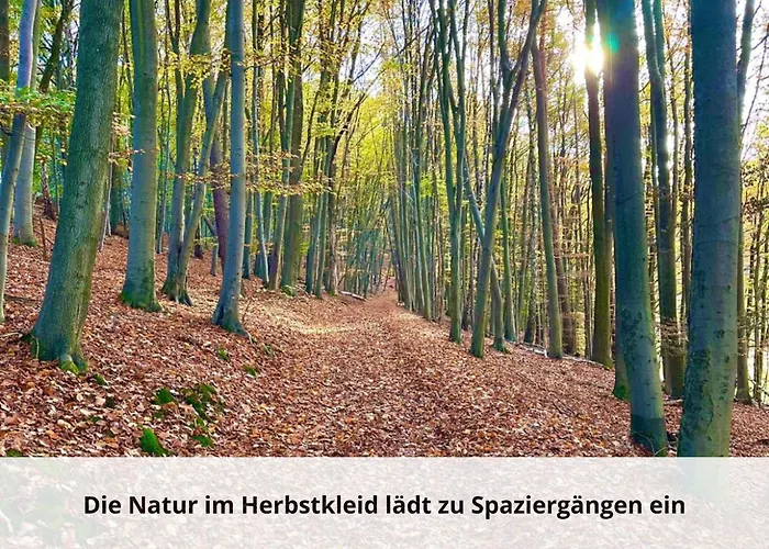 Ferienhaus-heike-dein-urlaub-mit-panoramablick Kirchheim (Hessen)